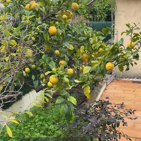 A Casa Patricia بيت للعطل ساري سولينزارا