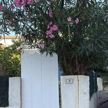 A Casa Patricia ساري سولينزارا